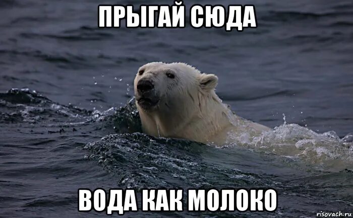 Курорты баренцева моря приглашают переждать жару. Курорты баренцева моря. курорты баренцева моря ждут вас. приколы про отдых на баренцевом море. шутки про баренцево море.