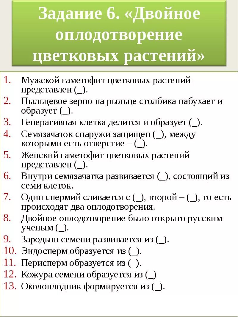 Мужской гаметофит цветковых. Мужской гаметофит цветковых растений. Мужской гаметофит цветковых растений представлен. Женский и мужской гаметофиты у цветковых. Двойное оплодотворение женский гаметофит.