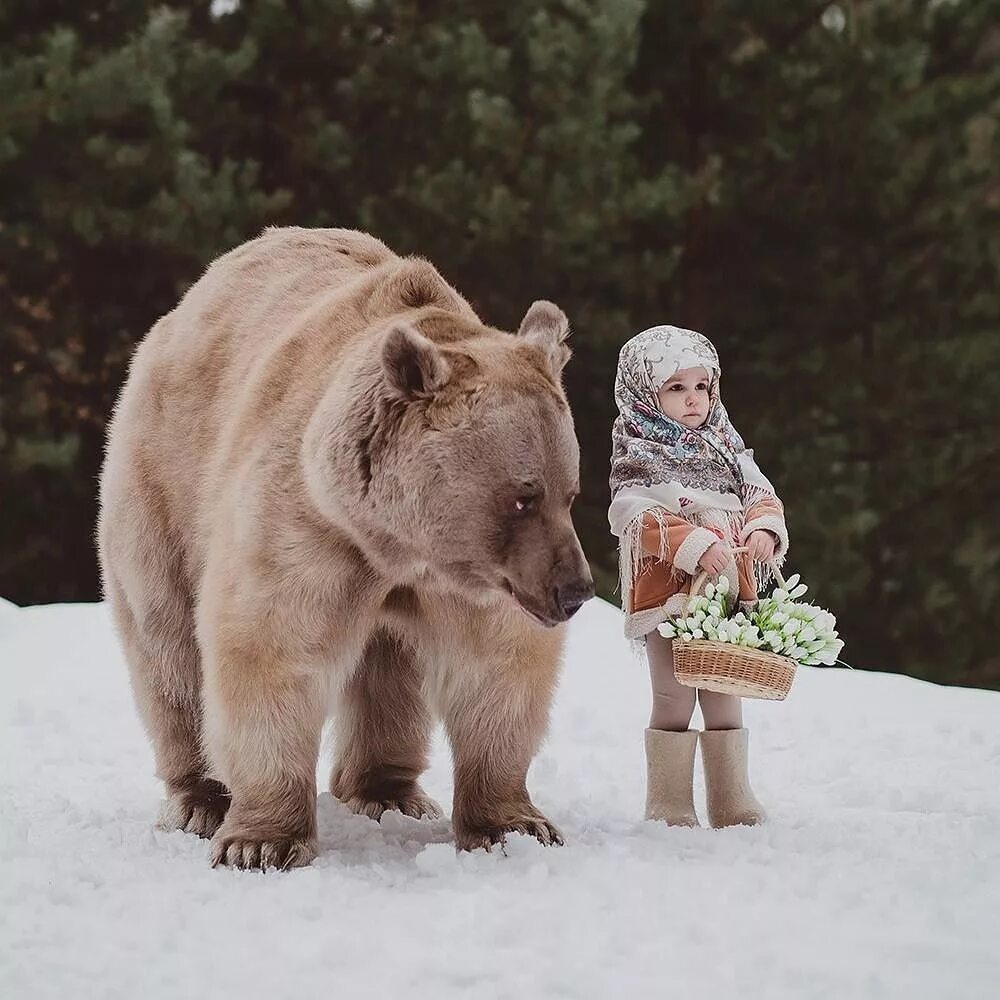 Приколы русских животных. Фото с медведем Степаном.