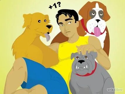 Multi dog