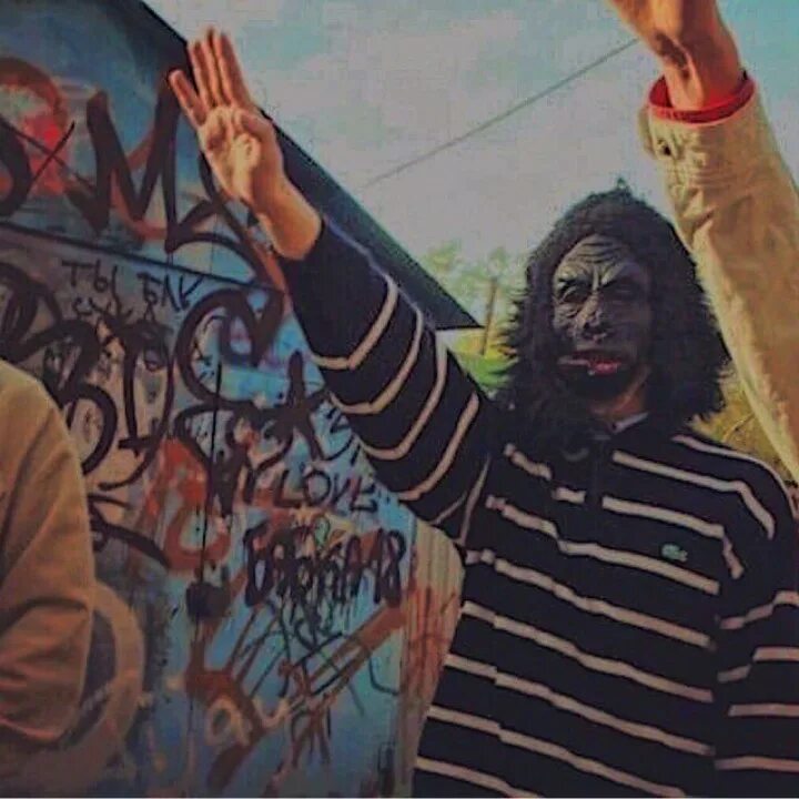 Kunteynir состав. Kunteynir состав