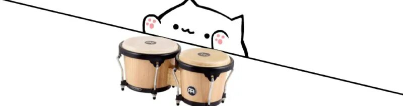 Предметы для кота банго. Бонго каком. Tb-8 b bk бонго. Лучшие бонго модели. Tycoon tb-8 b jm jm бонго.