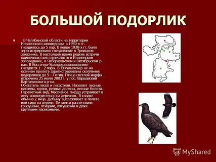 Книга про челябинскую область