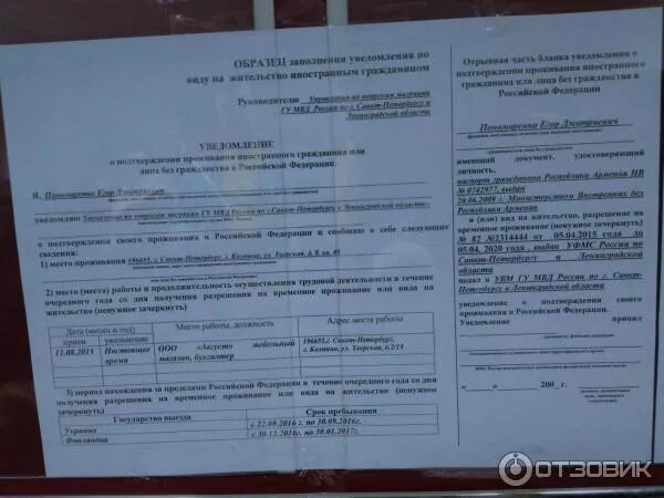 Перечень документов для уведомления. Уведомление о проживании иностранного гражданина. бланка уведомления о подтверждении рвп. ежегодное уведомление по внж. уведомление о подтверждении проживания по рвп.