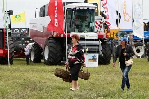 Погода тимирязевский чебаркульского