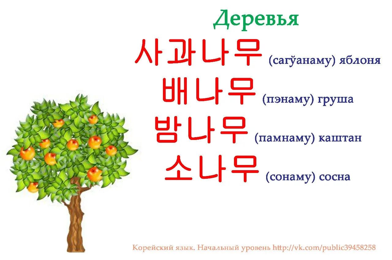 Щибаль. Корейские слова. Цвета по корейски с транскрипцией. Название цветов на корейском языке. Дерево на корейском языке.