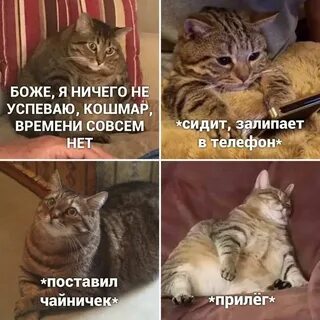 Ничего с лицом не делаю