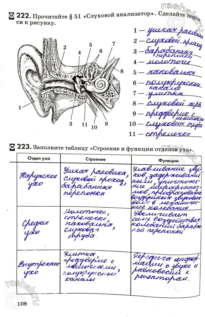 Сделайте подписи к рисунку строение