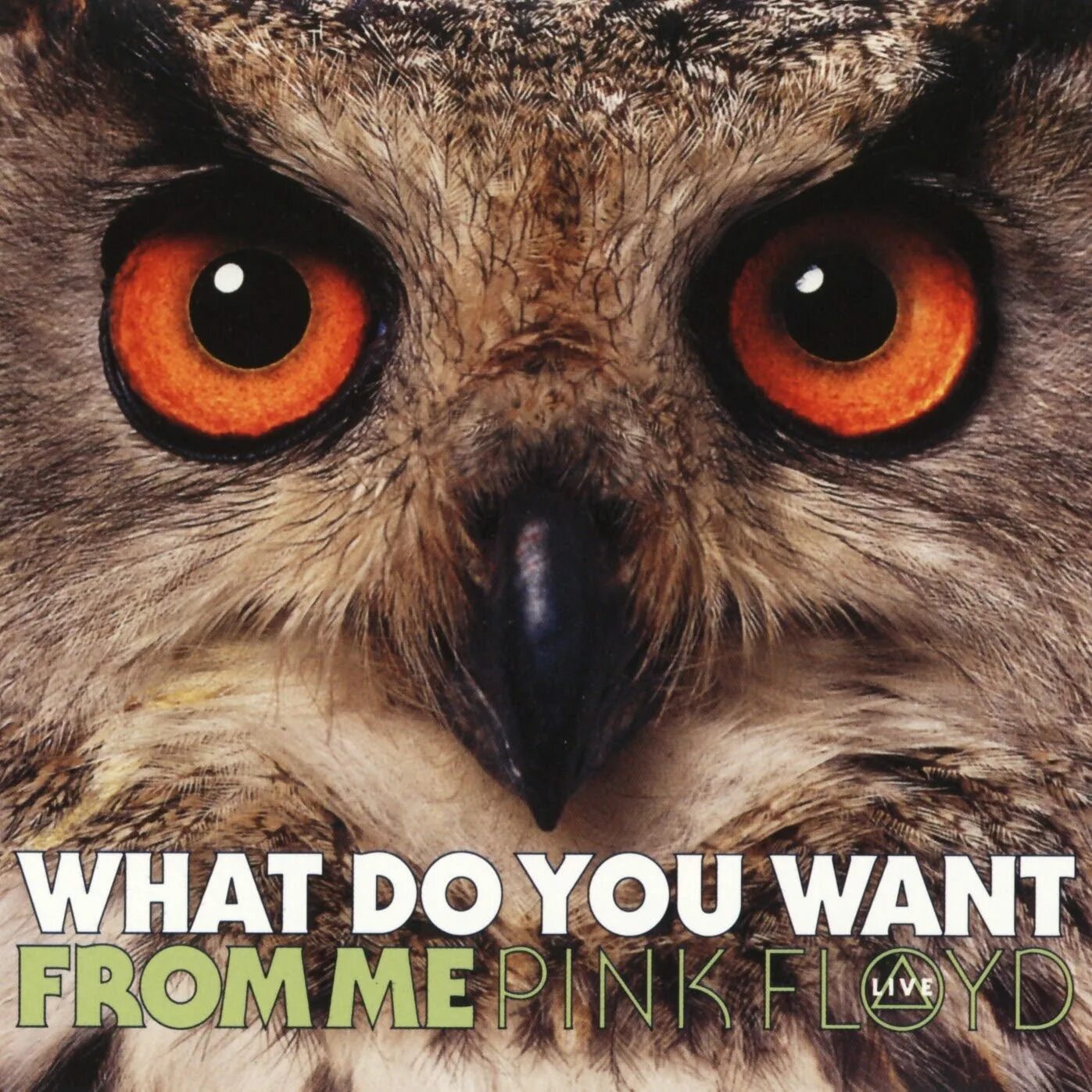 Песня what do you want from me. Pink floyd what do you want from me. what do you want from me. what you want обложка. what are you want from me.