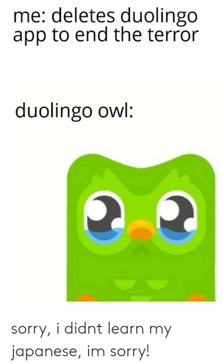 Страшный дуолинго. Дуолинго. Duolingo мемы. Сова Дуолинго. Duolingo угрожает.