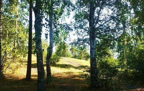 Подножье горки