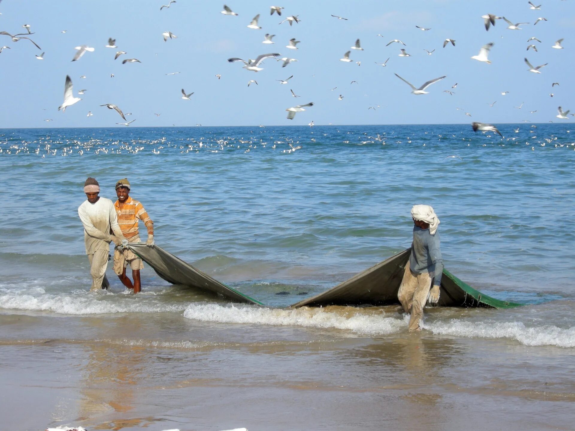 Рыбы персидского залива. Персидский залив индийского океана. Рыболовство в индийском океане. Персидский залив море.