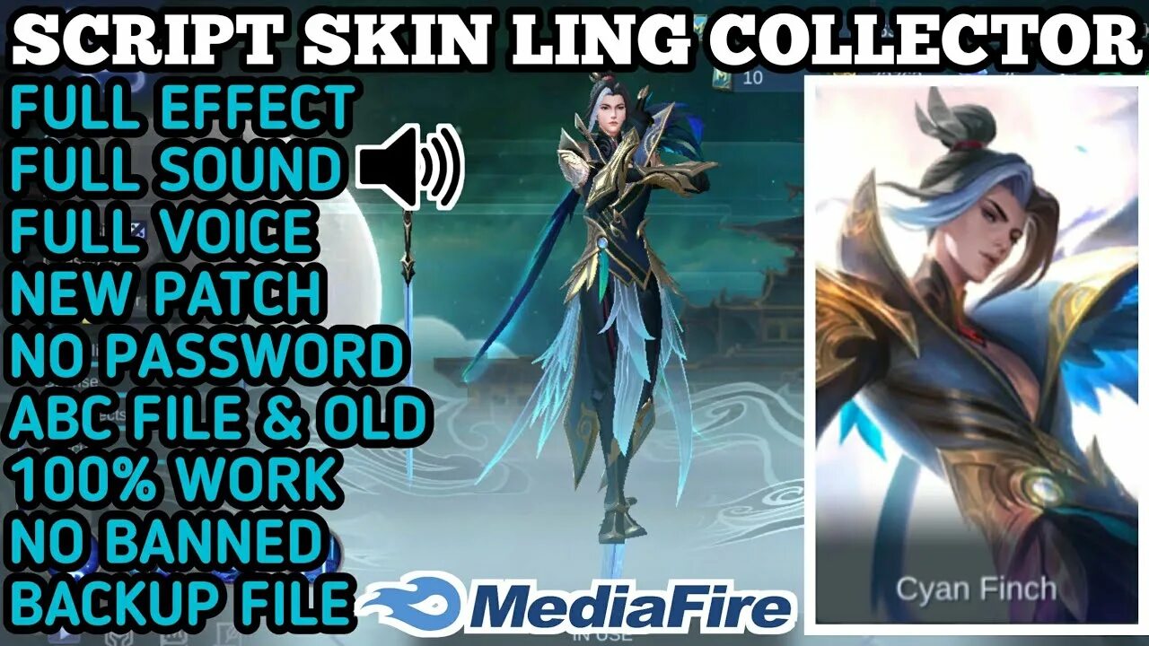 Skin scripts