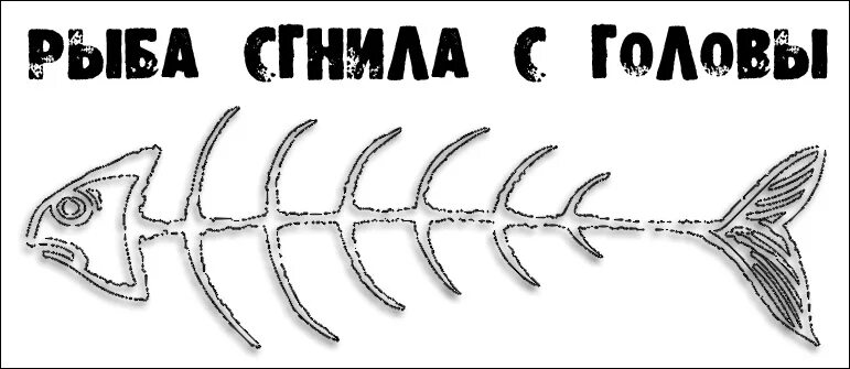 рыба гниет с головы. рыба гниет с головы.