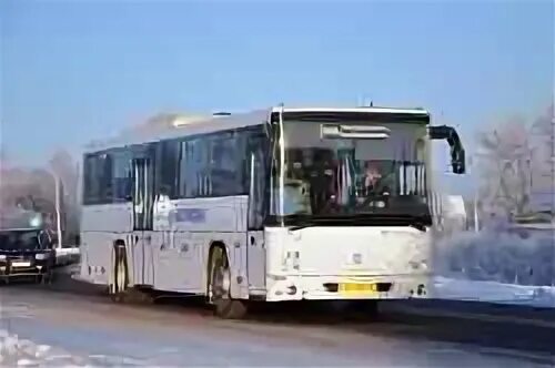 Автобус шаховская гордино