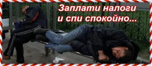 Заплати налоги и спи. Плати налоги и спи спокойно. Заплатил налоги спи спокойно. Заплатил налоги и сплю спокойно.