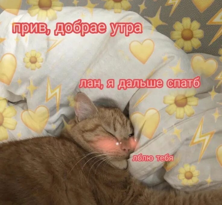 Милые сообщения доброе утро. Доброе утро котики с сердечками. спокойной ночи котики с сердечками. спокойной ночи с котами и сердечками. пикчи с котиками доброе утро.