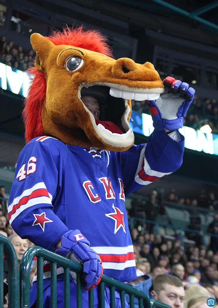 Огонь ска