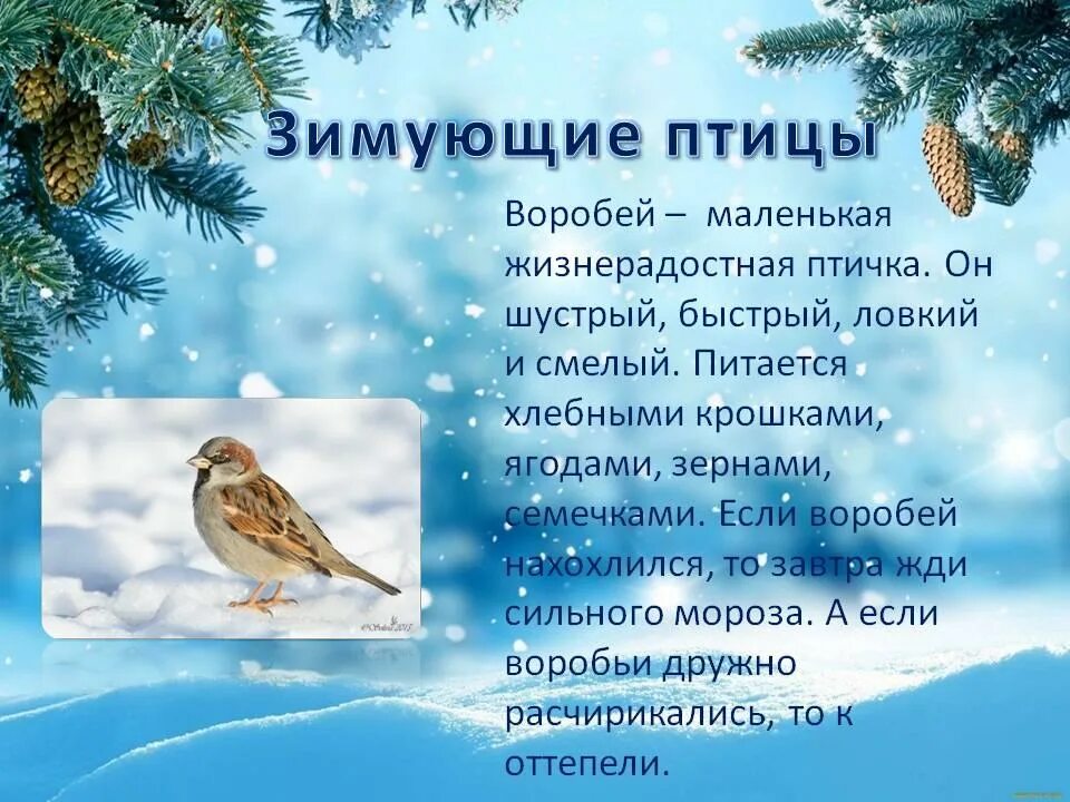 Стихотворения птицы зимой. Стихи про птиц. Стихи про птиц для малышей. Стихи про птиц для детей. Стихи про зимующих птиц.
