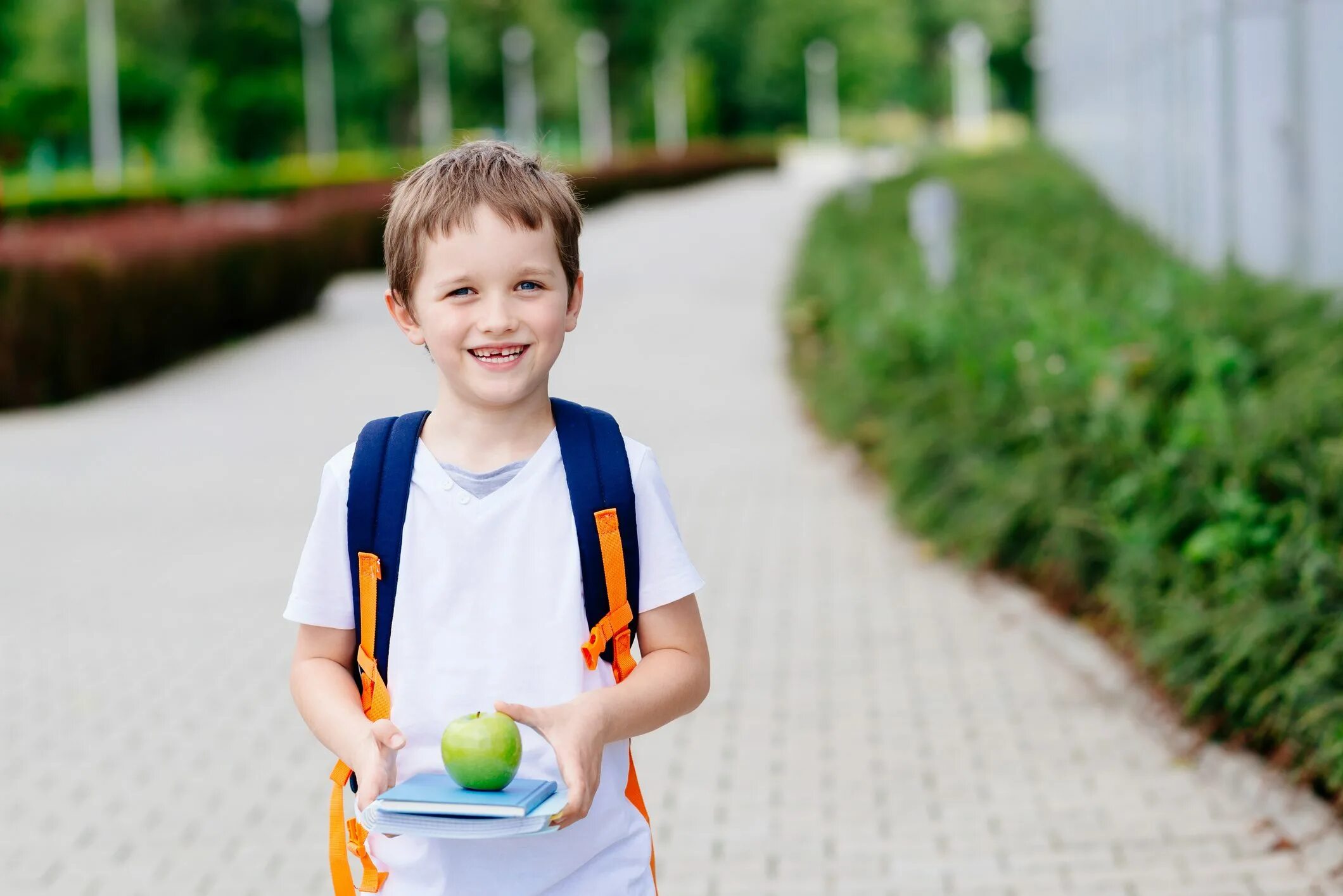 The boy to like the school. Мальчик стоковое фото. летний мальчик с семи лет. мальчик сток. schoolboy рост.