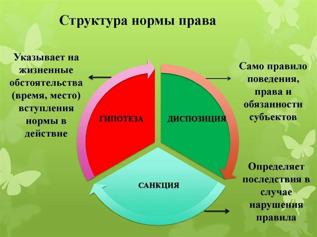 Норм состоит в том что. Структура правовой нормы схема.
