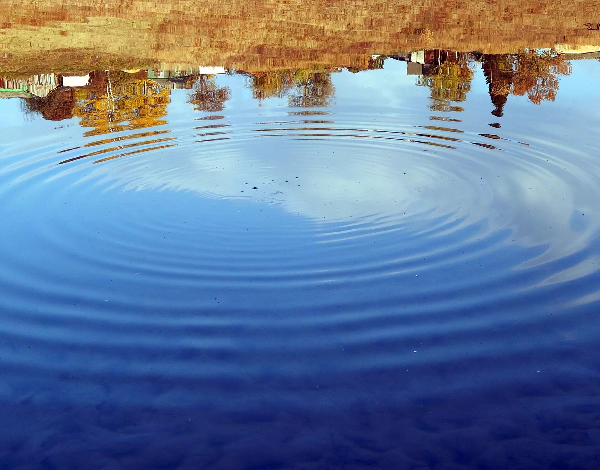 Круги на воде чья. Круги на воде. Круги от воды. Круги на воде озеро. Круги на воде море.