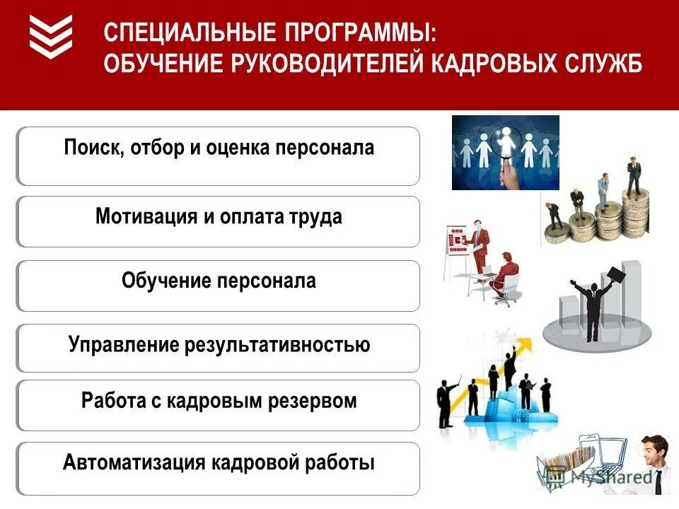 Специализированные программы обучения. Специализированные программы обучения
