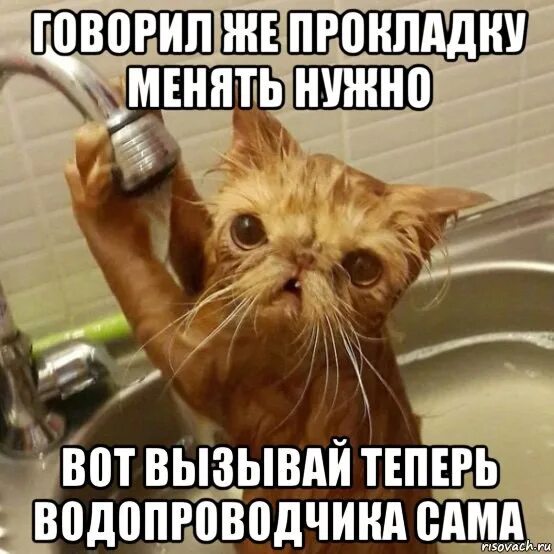 Просто смех