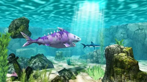 Shark attack by feral frenzy animation