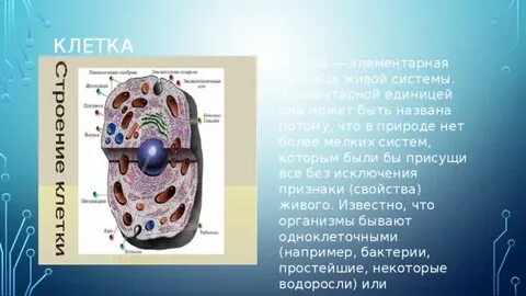 Единица всего живого