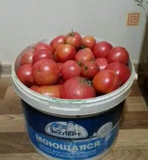 Магазин домашний помидор