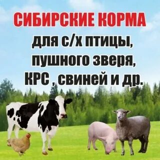 Комбикорм кемерово
