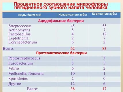 Количество микрофлоры
