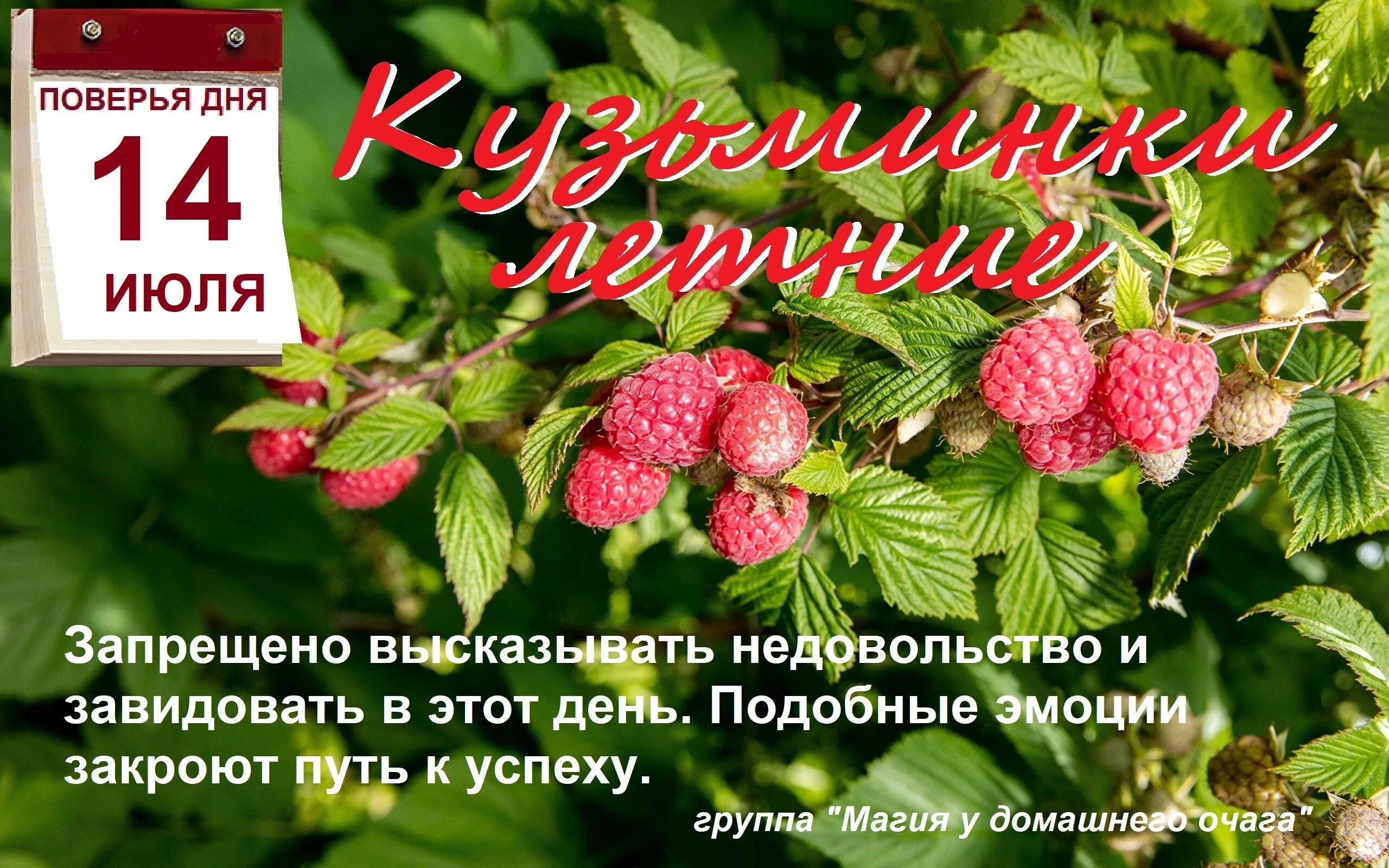 11 июля приметы и поверья. День смородины 14 июля.