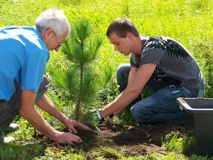 За что можно посадить человека