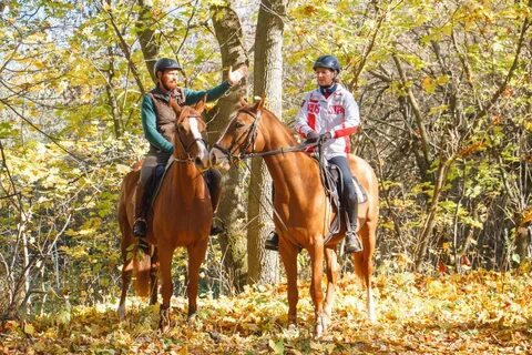 Конные прогулки казань