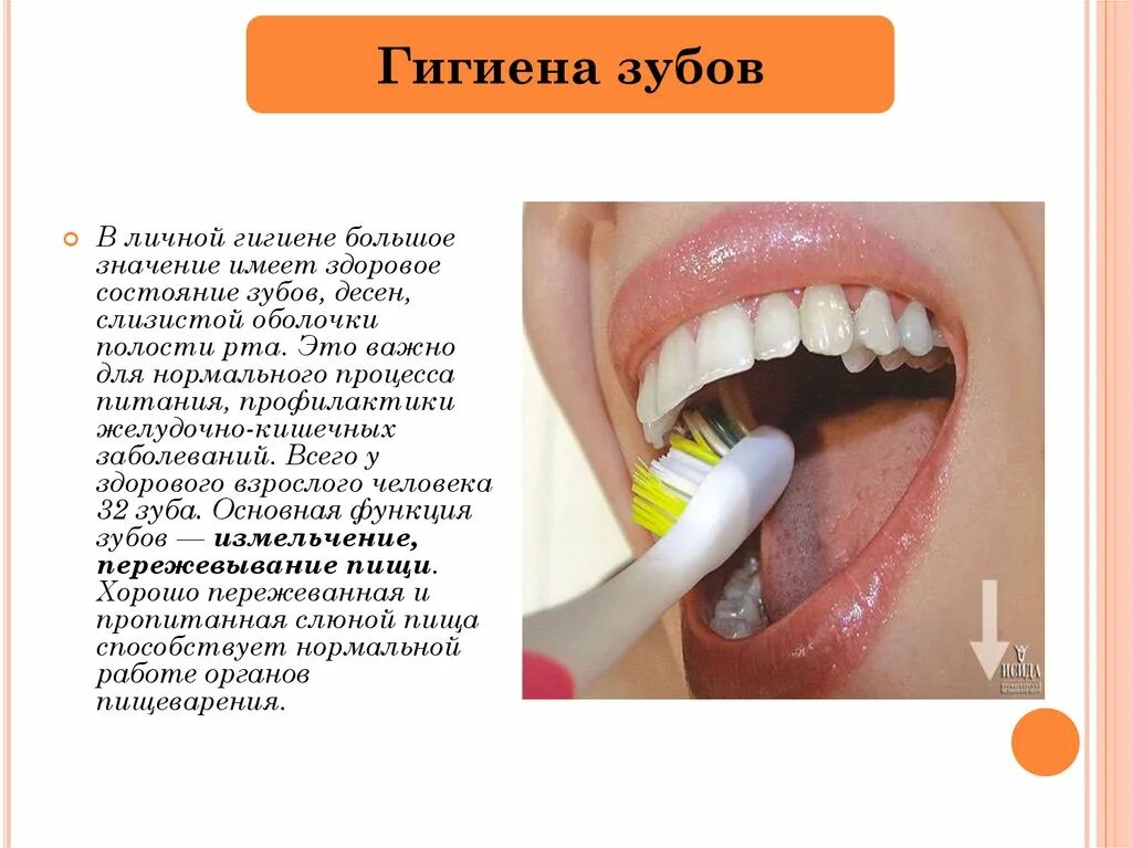 Гигиена рта значение. Гигиена ротовой полости.