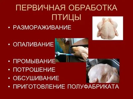 Как размораживают птицу