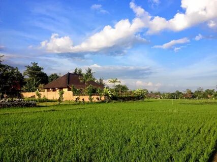 Bali plus