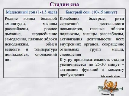 Классы спав