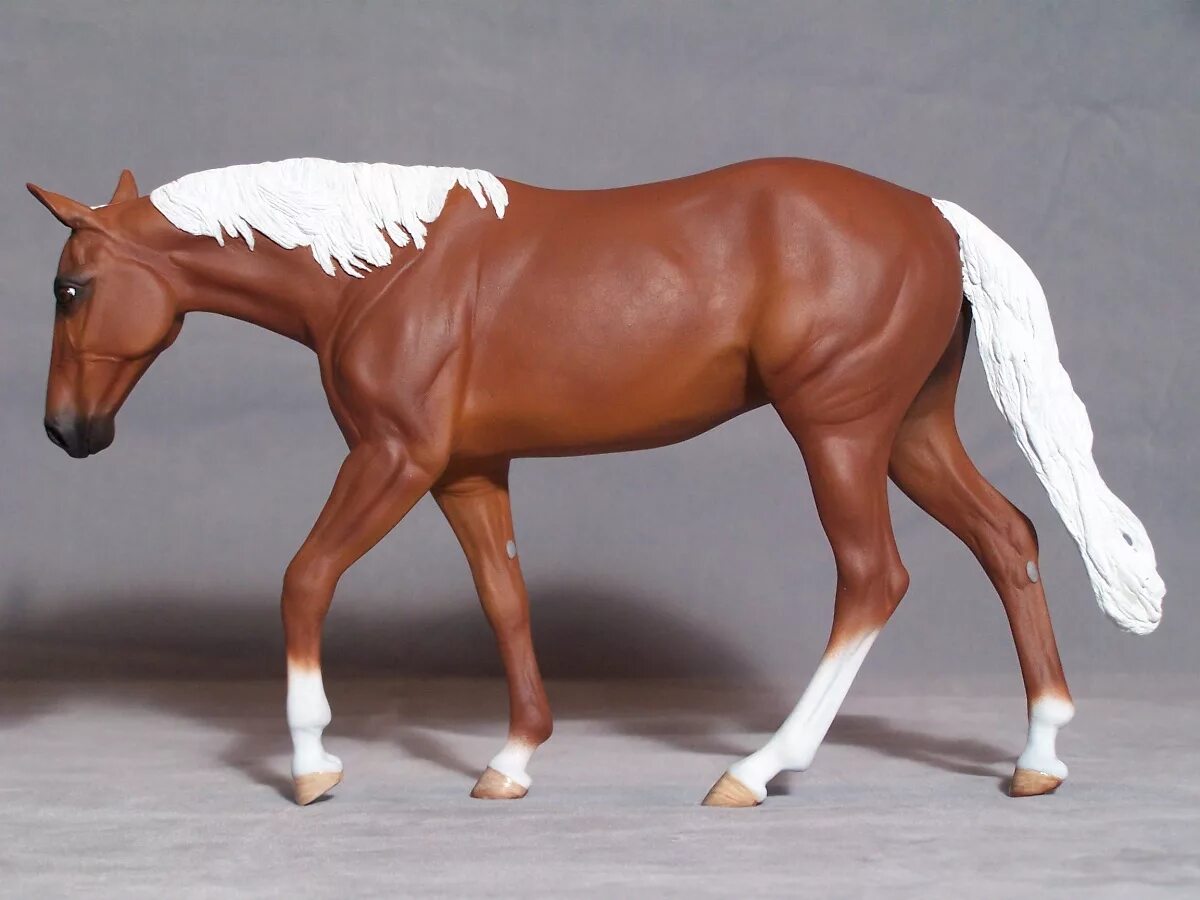 Horses model