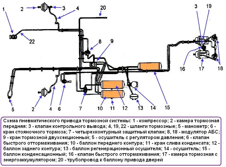 Тормозная воздушная система ПАЗ 32054. Тормозная система ПАЗ 32053 пневматика. Схема тормозов ПАЗ 4234. Тормозная система ПАЗ 4234 устройство. Системы автобуса паз