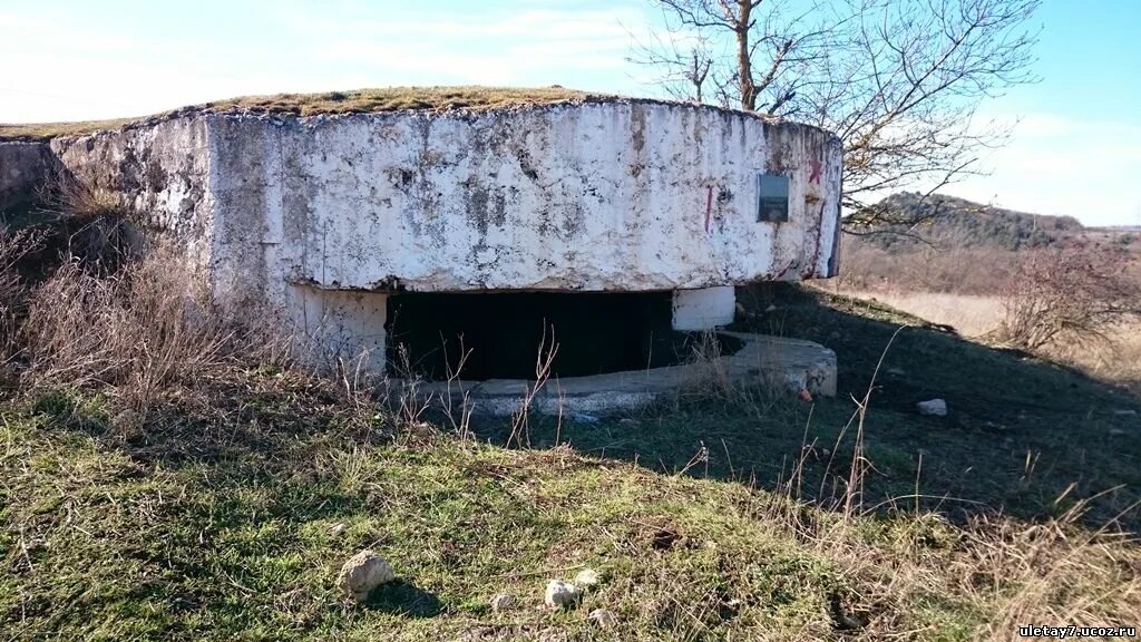 Чем отличается дот от дзота. Чем отличается дот от дзота