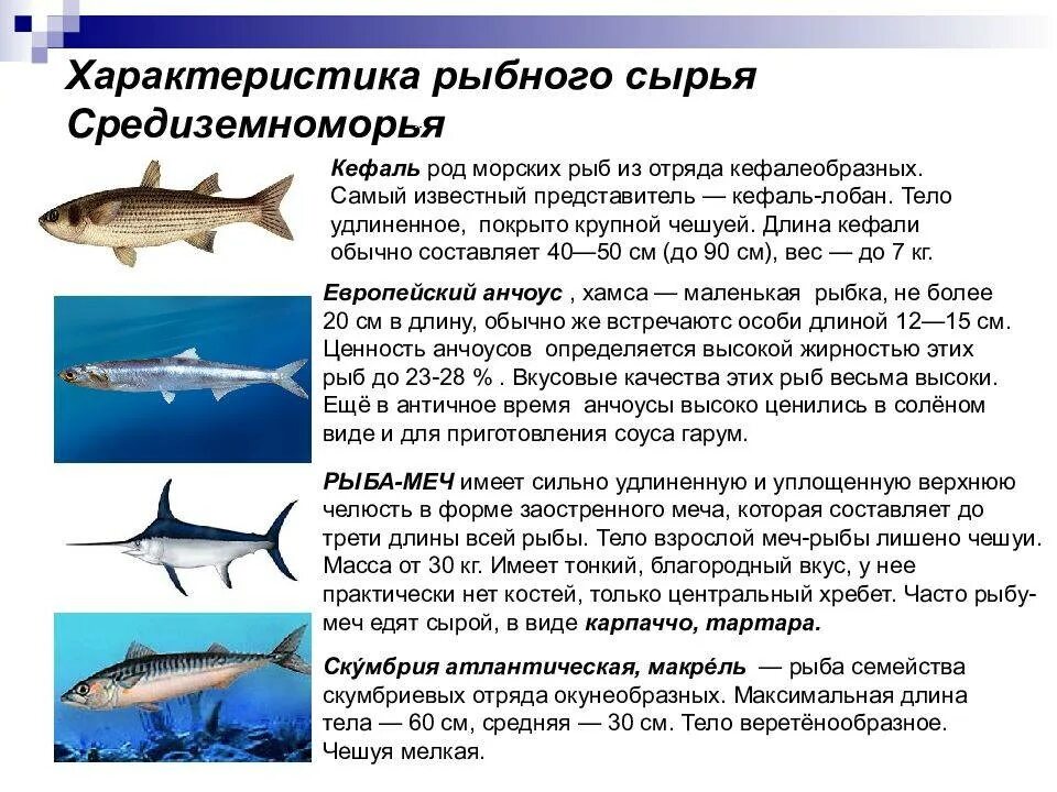 Характеристика сырья рыбы. Характеристика рыбного сырья. Характеристика поступающего сырья рыбы. Характеристика рыбного сырья. Товароведно-технологическая характеристика рыбных товаров.