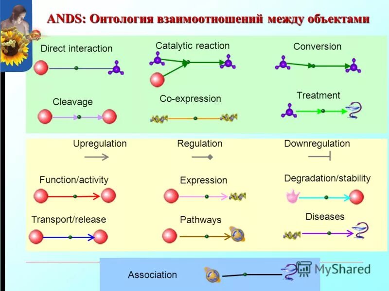 Взаимодействия между объектами. Агрегация и композиция. Схемы пищевых связей в лесу. Диаграмма взаимодействия uml. Диаграмма кооперации уровня спецификации.