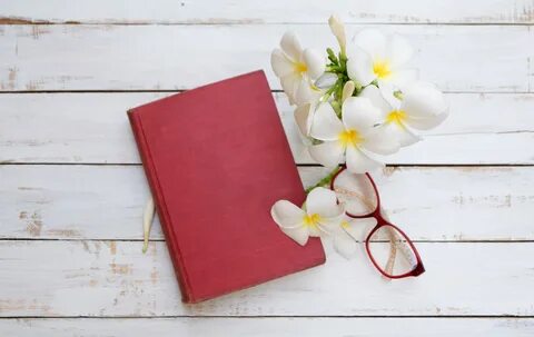 Книжка цвет