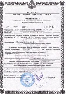 Заключение органов государственного надзора