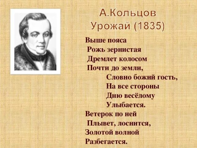 Поэт алексеев стихи. Стихотворение Алексея Кольцова. Кольцов стихи. Стихотворение Кольцово. Отрывок стихотворения Кольцова.