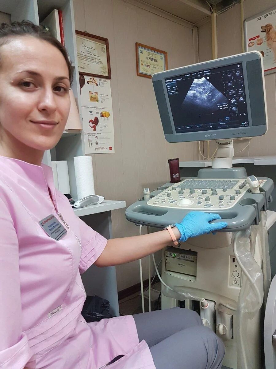Ветклиника сталеваров 17 1. Сталеваров 17/1 магнитогорск ветеринарный центр. Ветеринарный центр на сталеваров. Сталеваров 17/1 магнитогорск ветеринарный центр. Улица сталеваров москва.