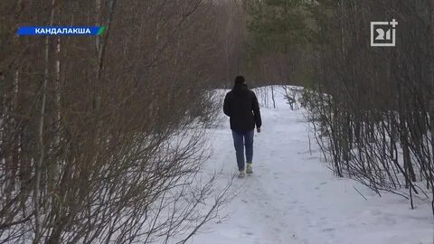 В мурманске избили